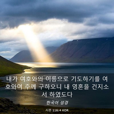 Picture 03 - 시편 116:4 KOR - 내가 여호와의 이름으로 기도하기를 - Bible Verse Picture