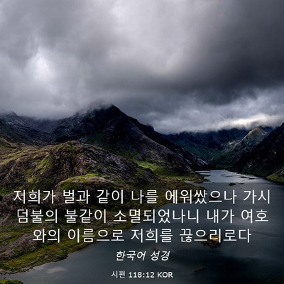 Picture 03 - 시편 118:12 KOR - 저희가 벌과 같이 나를 에워쌌으나 - Bible Verse Picture