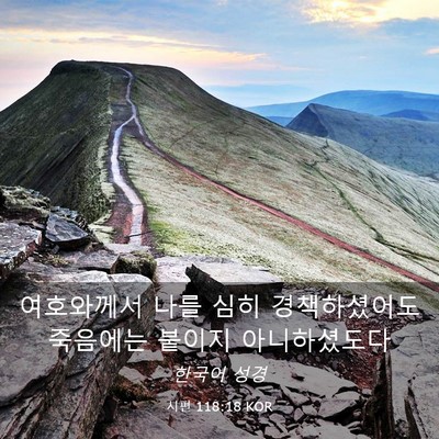 Picture 03 - 시편 118:18 KOR - 여호와께서 나를 심히 경책하셨어도 - Bible Verse Picture