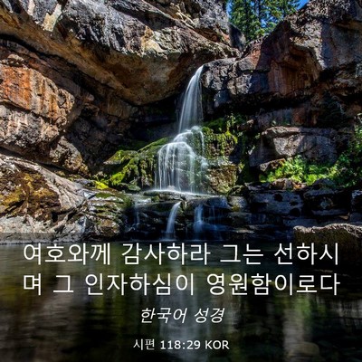 Picture 03 - 시편 118:29 KOR - 여호와께 감사하라 그는 선하시며 그 - Bible Verse Picture