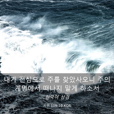 Picture 03 - 시편 119:10 KOR - 내가 전심으로 주를 찾았사오니 주의 - Bible Verse Picture