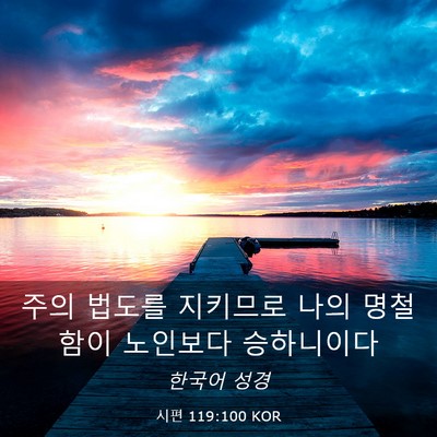 Picture 03 - 시편 119:100 KOR - 주의 법도를 지키므로 나의 명철함이 - Bible Verse Picture