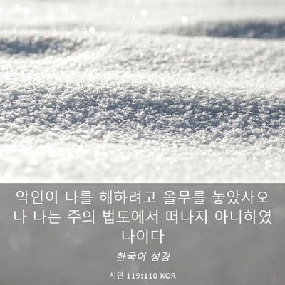 Picture 03 - 시편 119:110 KOR - 악인이 나를 해하려고 올무를 - Bible Verse Picture