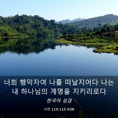 Picture 03 - 시편 119:115 KOR - 너희 행악자여 나를 떠날지어다 나는 - Bible Verse Picture