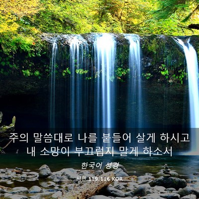 Picture 03 - 시편 119:116 KOR - 주의 말씀대로 나를 붙들어 살게 - Bible Verse Picture
