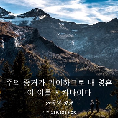 Picture 03 - 시편 119:129 KOR - 주의 증거가 기이하므로 내 영혼이 - Bible Verse Picture