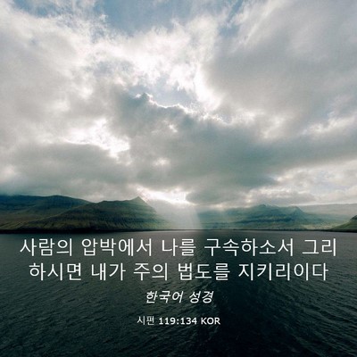 Picture 03 - 시편 119:134 KOR - 사람의 압박에서 나를 구속하소서 - Bible Verse Picture