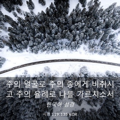 Picture 03 - 시편 119:135 KOR - 주의 얼굴로 주의 종에게 비취시고 - Bible Verse Picture