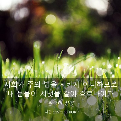 Picture 03 - 시편 119:136 KOR - 저희가 주의 법을 지키지 아니하므로 - Bible Verse Picture