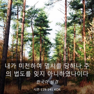 Picture 03 - 시편 119:141 KOR - 내가 미천하여 멸시를 당하나 주의 - Bible Verse Picture