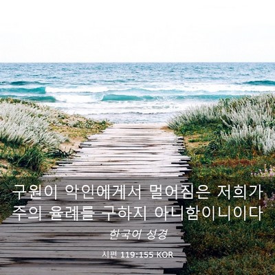 Picture 03 - 시편 119:155 KOR - 구원이 악인에게서 멀어짐은 저희가 - Bible Verse Picture