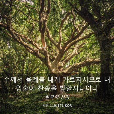 Picture 03 - 시편 119:171 KOR - 주께서 율례를 내게 가르치시므로 내 - Bible Verse Picture