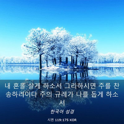 Picture 03 - 시편 119:175 KOR - 내 혼을 살게 하소서 그리하시면 - Bible Verse Picture