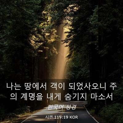 Picture 03 - 시편 119:19 KOR - 나는 땅에서 객이 되었사오니 주의 - Bible Verse Picture