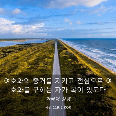 Picture 03 - 시편 119:2 KOR - 여호와의 증거를 지키고 전심으로 - Bible Verse Picture