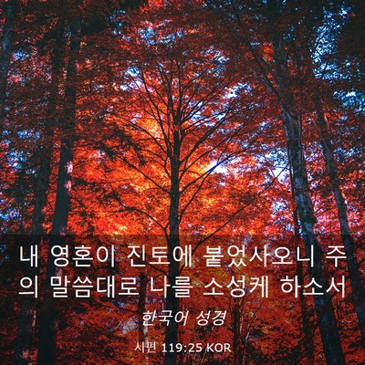 Picture 03 - 시편 119:25 KOR - 내 영혼이 진토에 붙었사오니 주의 - Bible Verse Picture