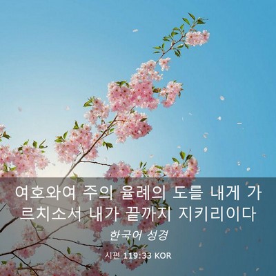 Picture 03 - 시편 119:33 KOR - 여호와여 주의 율례의 도를 내게 - Bible Verse Picture
