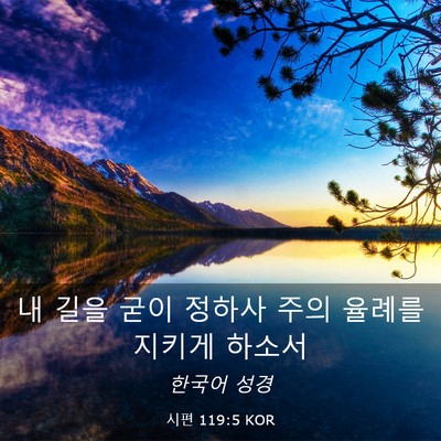 Picture 03 - 시편 119:5 KOR - 내 길을 굳이 정하사 주의 율례를 - Bible Verse Picture