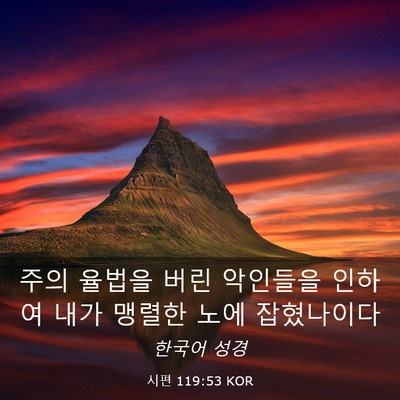 Picture 03 - 시편 119:53 KOR - 주의 율법을 버린 악인들을 인하여 - Bible Verse Picture