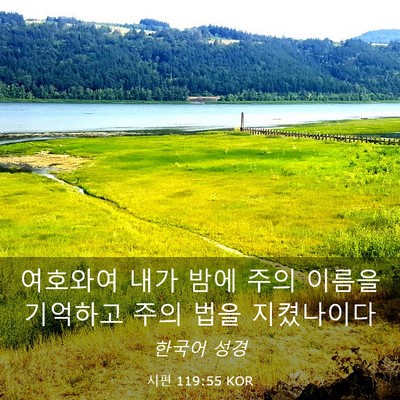 Picture 03 - 시편 119:55 KOR - 여호와여 내가 밤에 주의 이름을 - Bible Verse Picture