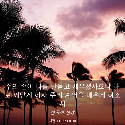 Picture 03 - 시편 119:73 KOR - 주의 손이 나를 만들고 세우셨사오니 - Bible Verse Picture