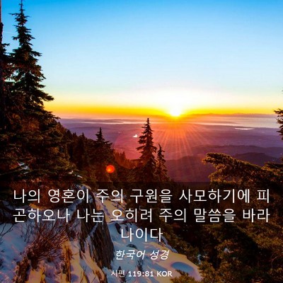 Picture 03 - 시편 119:81 KOR - 나의 영혼이 주의 구원을 사모하기에 - Bible Verse Picture