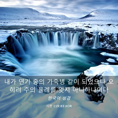 Picture 03 - 시편 119:83 KOR - 내가 연기 중의 가죽병 같이 - Bible Verse Picture