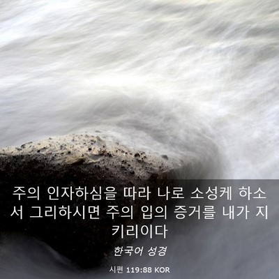 Picture 03 - 시편 119:88 KOR - 주의 인자하심을 따라 나로 소성케 - Bible Verse Picture