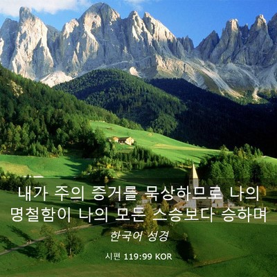 Picture 03 - 시편 119:99 KOR - 내가 주의 증거를 묵상하므로 나의 - Bible Verse Picture