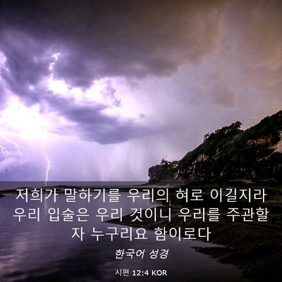 Picture 03 - 시편 12:4 KOR - 저희가 말하기를 우리의 혀로 - Bible Verse Picture