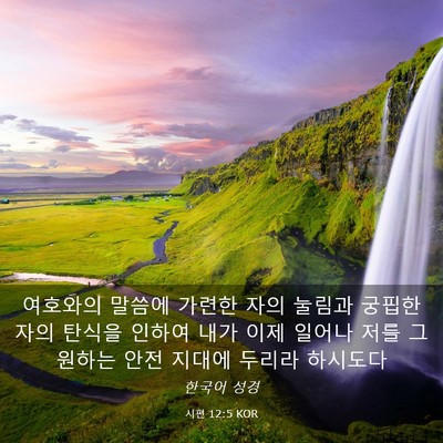 Picture 03 - 시편 12:5 KOR - 여호와의 말씀에 가련한 자의 눌림과 - Bible Verse Picture
