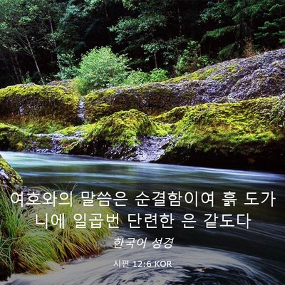 Picture 03 - 시편 12:6 KOR - 여호와의 말씀은 순결함이여 흙 - Bible Verse Picture