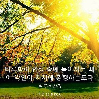 Picture 03 - 시편 12:8 KOR - 비루함이 인생 중에 높아지는 때에 - Bible Verse Picture