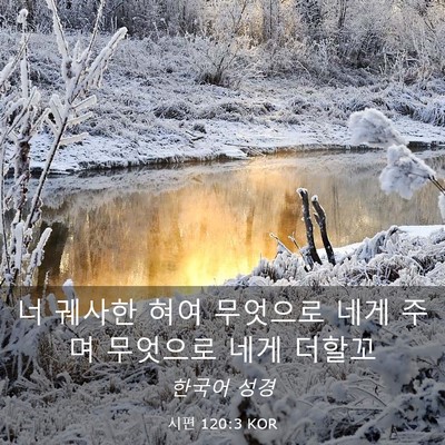 Picture 03 - 시편 120:3 KOR - 너 궤사한 혀여 무엇으로 네게 주며 - Bible Verse Picture