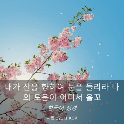 Picture 03 - 시편 121:1 KOR - 내가 산을 향하여 눈을 들리라 나의 - Bible Verse Picture