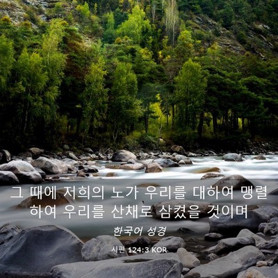 Picture 03 - 시편 124:3 KOR - 그 때에 저희의 노가 우리를 대하여 - Bible Verse Picture