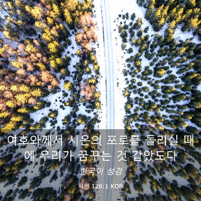Picture 03 - 시편 126:1 KOR - 여호와께서 시온의 포로를 돌리실 - Bible Verse Picture