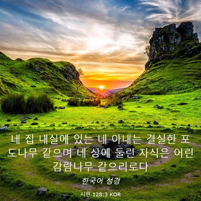 Picture 03 - 시편 128:3 KOR - 네 집 내실에 있는 네 아내는 결실한 - Bible Verse Picture