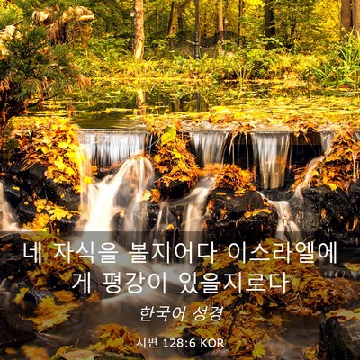 Picture 03 - 시편 128:6 KOR - 네 자식을 볼지어다 이스라엘에게 - Bible Verse Picture
