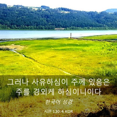 Picture 03 - 시편 130:4 KOR - 그러나 사유하심이 주께 있음은 주를 - Bible Verse Picture