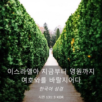 Picture 03 - 시편 131:3 KOR - 이스라엘아 지금부터 영원까지 - Bible Verse Picture