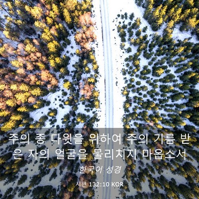 Picture 03 - 시편 132:10 KOR - 주의 종 다윗을 위하여 주의 기름 - Bible Verse Picture