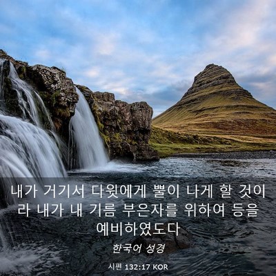 Picture 03 - 시편 132:17 KOR - 내가 거기서 다윗에게 뿔이 나게 할 - Bible Verse Picture