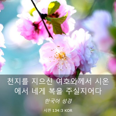 Picture 03 - 시편 134:3 KOR - 천지를 지으신 여호와께서 시온에서 - Bible Verse Picture