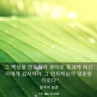 Picture 03 - 시편 136:16 KOR - 그 백성을 인도하여 광야로 통과케 - Bible Verse Picture