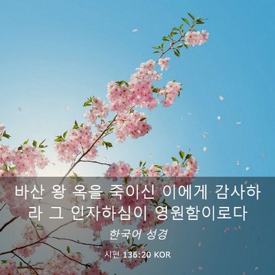 Picture 03 - 시편 136:20 KOR - 바산 왕 옥을 죽이신 이에게 - Bible Verse Picture