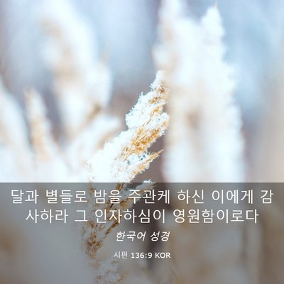 Picture 03 - 시편 136:9 KOR - 달과 별들로 밤을 주관케 하신 - Bible Verse Picture