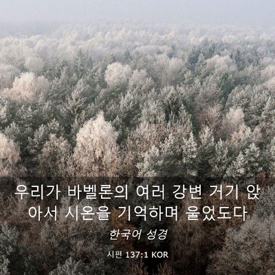 Picture 03 - 시편 137:1 KOR - 우리가 바벨론의 여러 강변 거기 - Bible Verse Picture