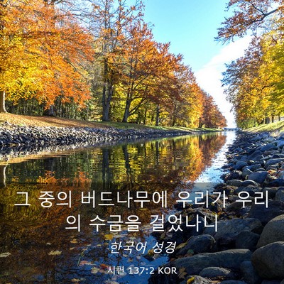 Picture 03 - 시편 137:2 KOR - 그 중의 버드나무에 우리가 우리의 - Bible Verse Picture