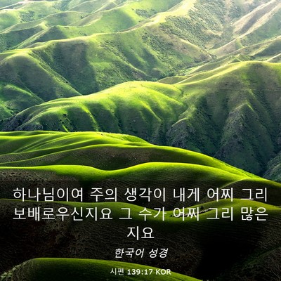 Picture 03 - 시편 139:17 KOR - 하나님이여 주의 생각이 내게 어찌 - Bible Verse Picture
